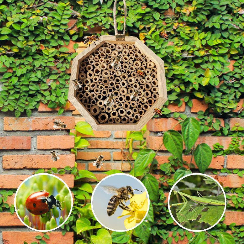 Bee Haven Wooden Insect Hotel - Dog Hugs Cat