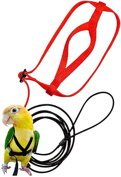 Bird Freedom Harness: Fly and Explore with Your Feathered Friend - Dog Hugs Cat