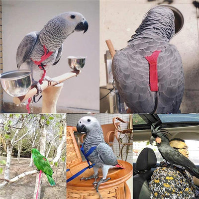 Bird Freedom Harness: Fly and Explore with Your Feathered Friend - Dog Hugs Cat