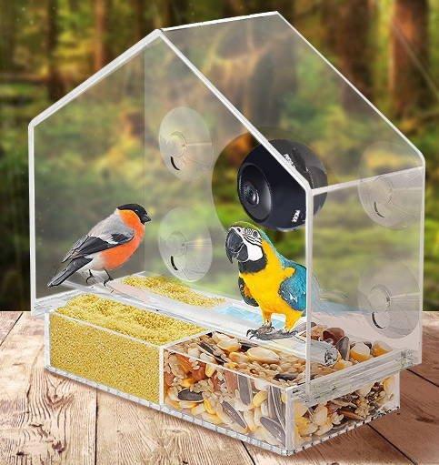 Bird's Eye View: Smart Bird Feeder with Live Camera Feed - Dog Hugs Cat