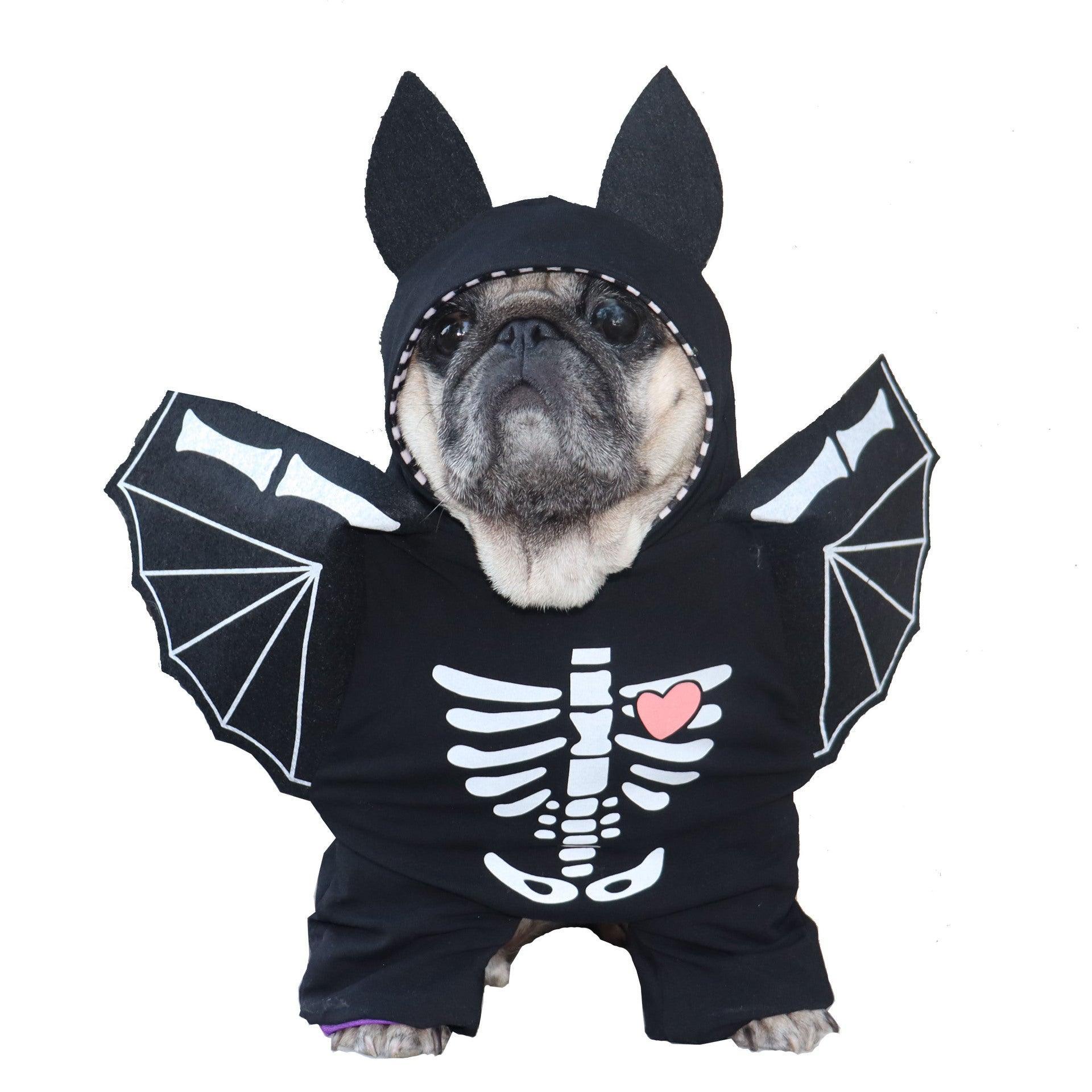 Black Bat Stand Up Dog Transformation Outfit - Dog Hugs Cat