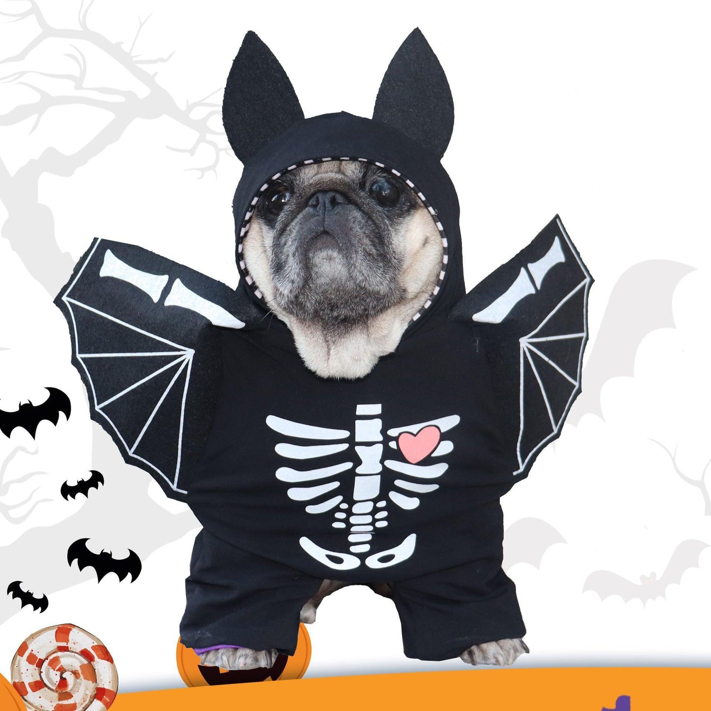 Black Bat Stand Up Dog Transformation Outfit - Dog Hugs Cat