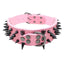 Black Spiked Leather Dog Collar for Large Breeds - Dog Hugs Cat