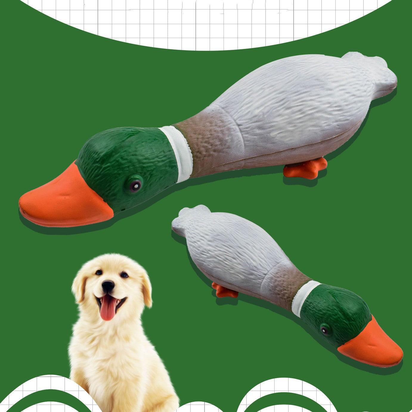 Boredom Buster Latex Duck Dog Toy - Dog Hugs Cat