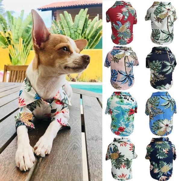 Breathable Corgi Blue Cat Shirt for Dogs - Perfect for Spring and Summer Fun! - Dog Hugs Cat