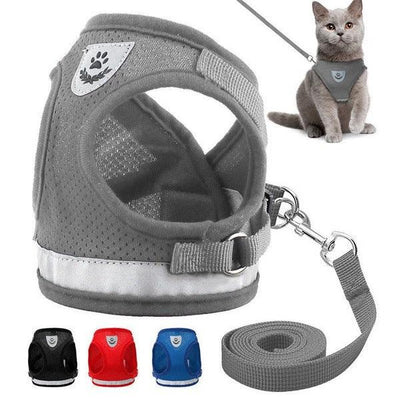 Breathable Mesh Pet Leash with Reflective Design and Matching Belt - Dog Hugs Cat