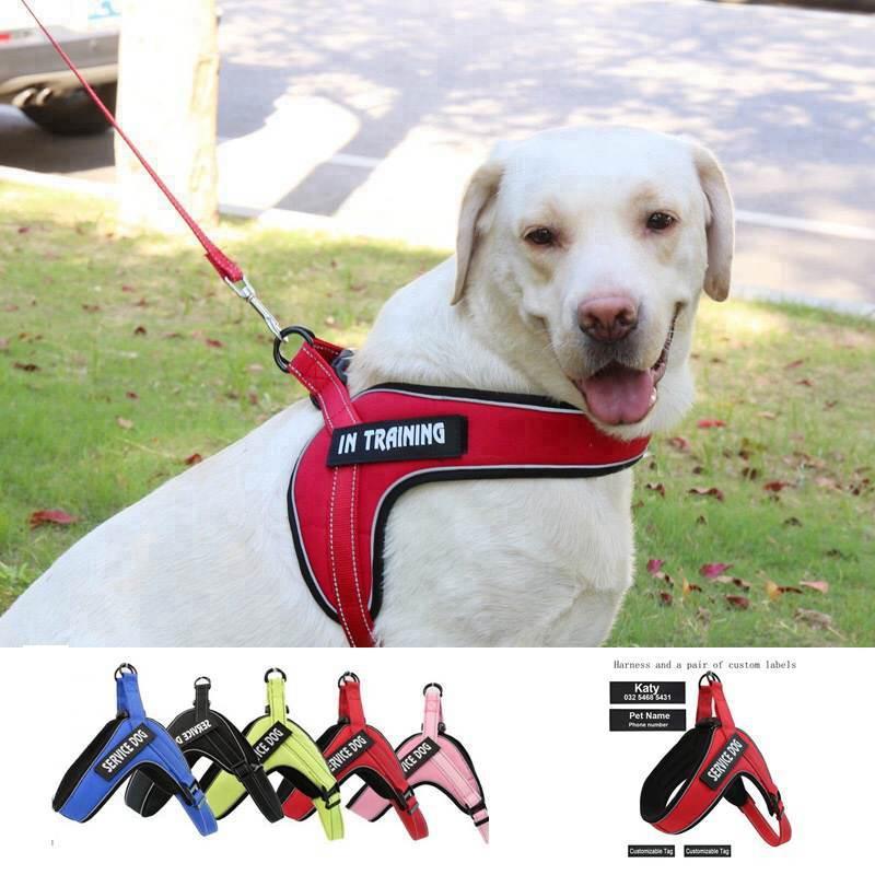 Breathable Reflective Dog Harness Vest with Customizable Velcro Design - Dog Hugs Cat