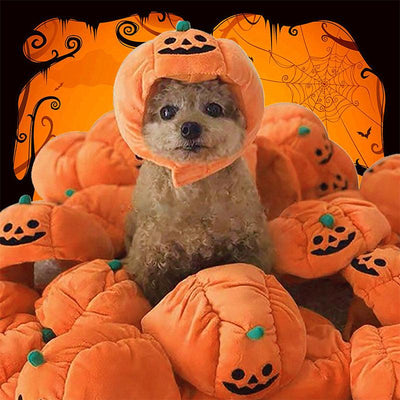 Pet Hat Halloween Funny Pumpkin Hat Cute Pet Animal Costume - Dog Hugs Cat