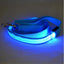 Glowing Pet Leash Glowing Dog Led - Dog Hugs Cat