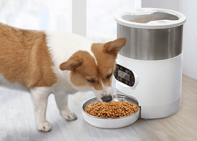 Smart App Pet Feeder Cat And Dog Food Automatic Dispenser Stainless Steel Bowl Cats And Dogs With Recording Timing Feeding - Dog Hugs Cat