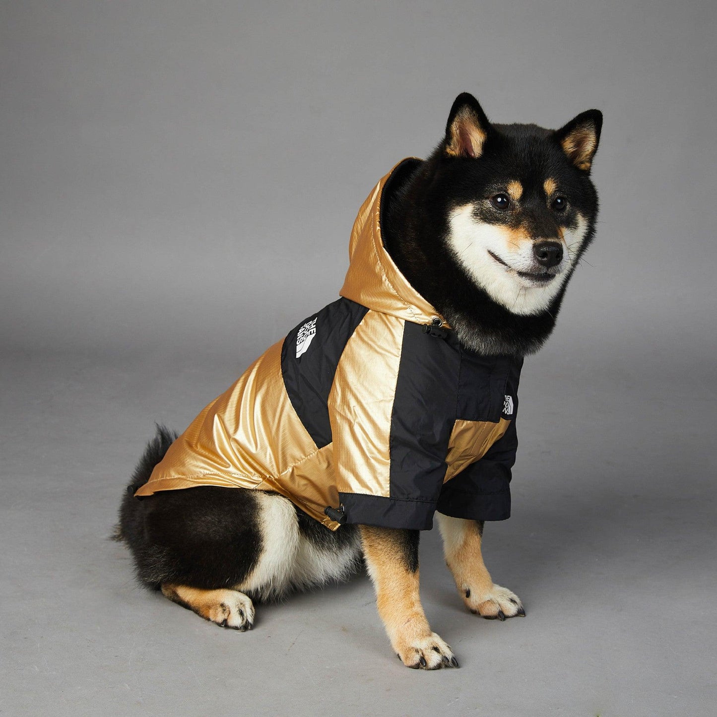 Dog Large Dog Raincoat Pet Jacket - Dog Hugs Cat