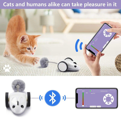 Household Fashion App Electric Mouse Cat Toys - Dog Hugs Cat