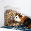 Hamster Feeder Food Box Can Be Fixed - Dog Hugs Cat