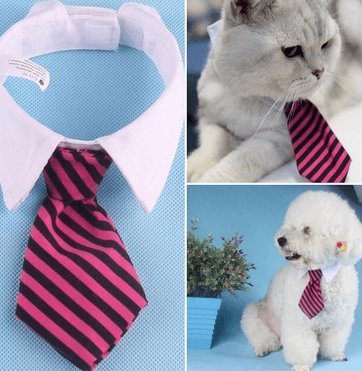 Cartoon Print Pet Bow Tie Set - Wholesale Dog and Baby Tie Collection - Dog Hugs Cat