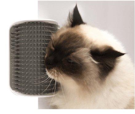 Cat Bliss Brush: Self-Grooming and Massage Device - Dog Hugs Cat