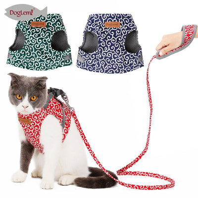 Cat Explorer Adventure Set - Dog Hugs Cat