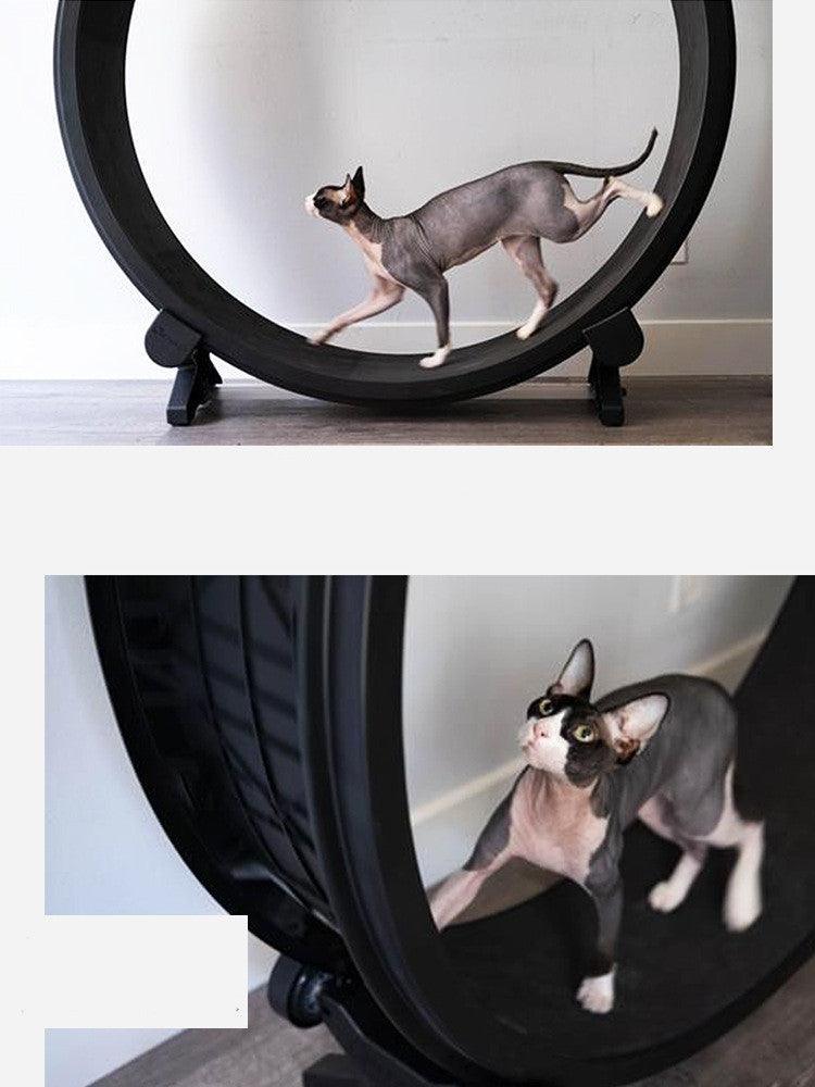 CatFitRun: The Ultimate Pet Cat Running Wheel for Fitness and Fun - Dog Hugs Cat