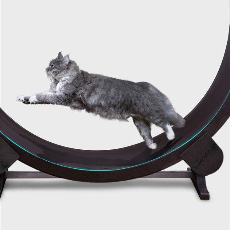 CatFitRun: The Ultimate Pet Cat Running Wheel for Fitness and Fun - Dog Hugs Cat