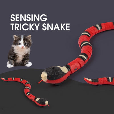 Smart Sensing Interactive Cat Toys Automatic Eletronic Snake Cat Teasering Play Usb Rechargeable Kitten Toys For Cats Dogs Pet - Dog Hugs Cat