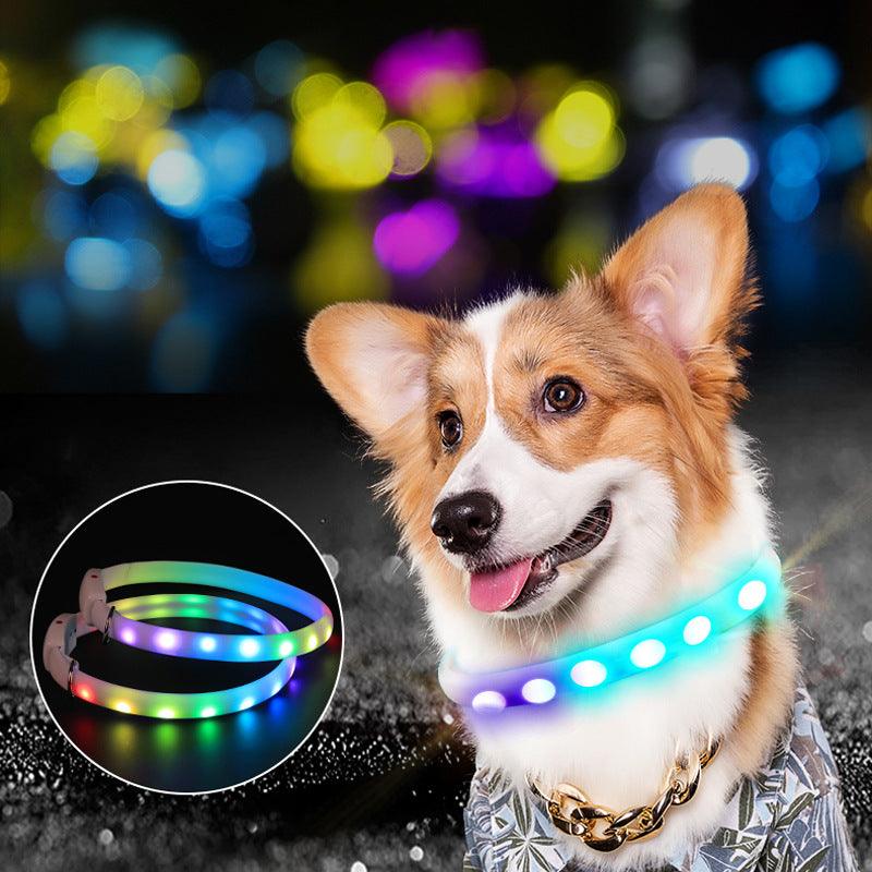 Usb Rechargeable Pet Dog Led Glowing Collar Pet Luminous Flashing Necklace Outdoor Walking Dog Night Safety Collar - Dog Hugs Cat