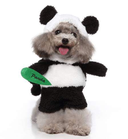 Cosplay Pet Supplies Standing Outfit Funny Dog Clothes Upright Outfit Halloween Christmas Dress Up Pet Outfit - Dog Hugs Cat