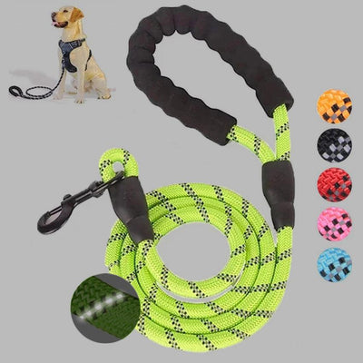 Small Medium Sized Pet Dog Luminous Leash Chain Puppies - Dog Hugs Cat