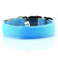 Pet Supplies Dog Luminous Collar Luminous Collar Fluorescence - Dog Hugs Cat