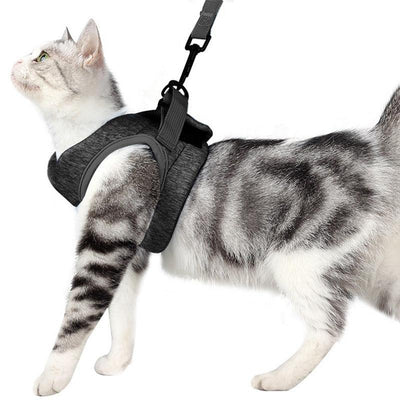 Cat Leash Lace Rope Breathable Lightweight Chest Strap - Dog Hugs Cat