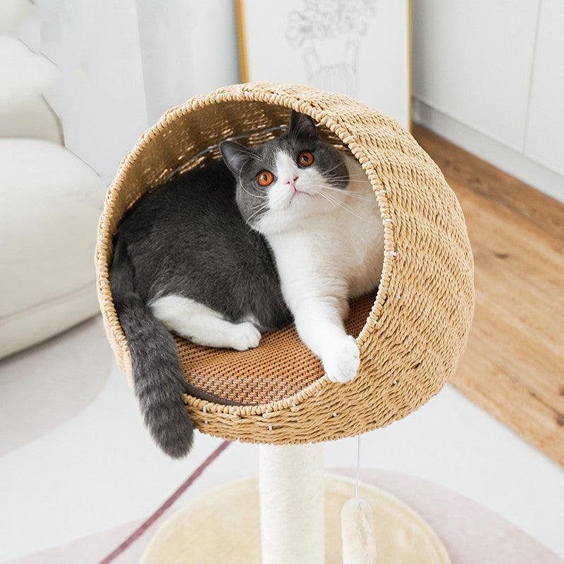 Rattan Woven Cat Climbing Rack Tree Nest - Dog Hugs Cat