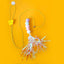 Pet Felt Toys Retractable Catnip Self Hi Hanging Cat Toys - Dog Hugs Cat