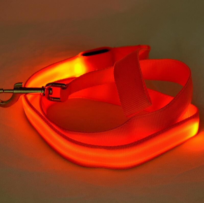 Glowing Pet Leash Glowing Dog Led - Dog Hugs Cat