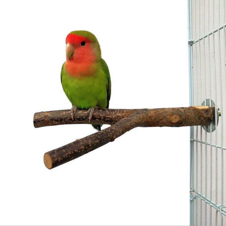 Bird Standing Frame Rattan Ring Chewing Toy Bird Cage - Dog Hugs Cat