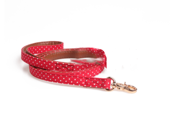 Polka Dot Dog Triangle Scarf Collar Leash Pet Pu Dog Leash - Dog Hugs Cat