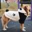 Medium And Large Dogs Thickened Pet Autumn And Winter Clothing - Dog Hugs Cat