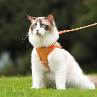 Anti Escape Reflective Cat Harness Leash - Dog Hugs Cat