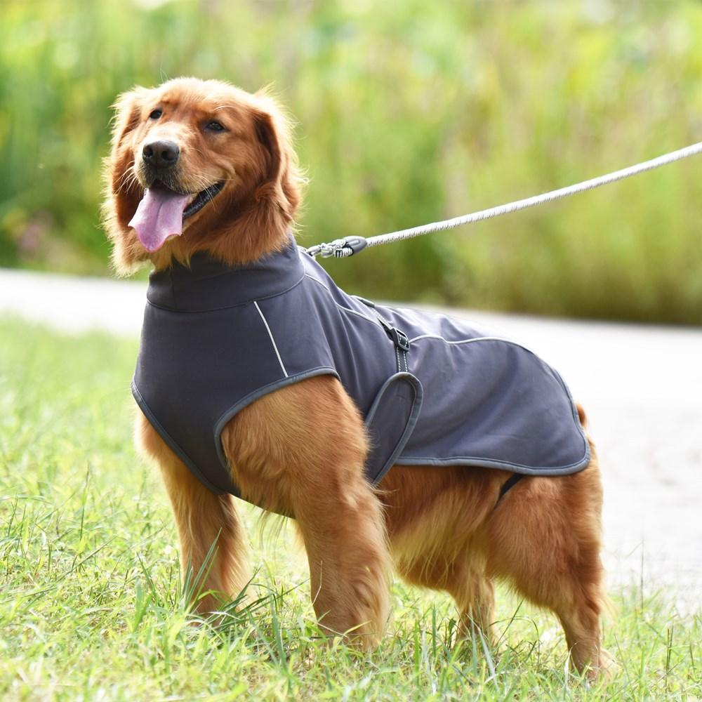 Autumn And Winter Warm Reflective Dog Clothes - Dog Hugs Cat