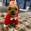 Pet Sports Fashion Christmas Day Clothing - Dog Hugs Cat
