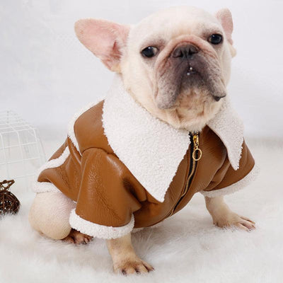 Winter Clothing Plush Zipper Warm Pu Leather Dog Clothes - Dog Hugs Cat