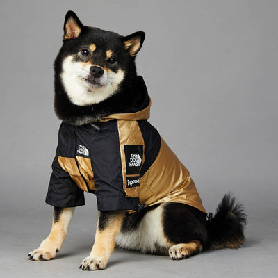 Dog Large Dog Raincoat Pet Jacket - Dog Hugs Cat