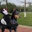 New Funny Pet Halloween Costume Halloween Pet Decoration Dress Up Pet Cosplay Costume Halloween Pet Clothes Spider Pumpkin Vest - Dog Hugs Cat