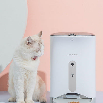 Automatic Feeder Intelligently Monitors Pet Cat Food Timing - Dog Hugs Cat