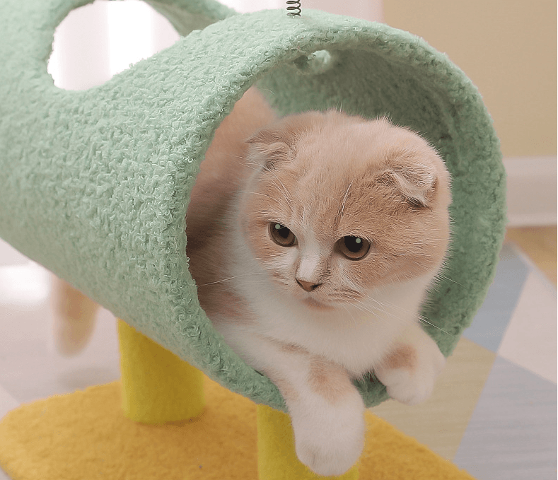 Wear-Resistant Cat Climbing Frame With Litter - Dog Hugs Cat