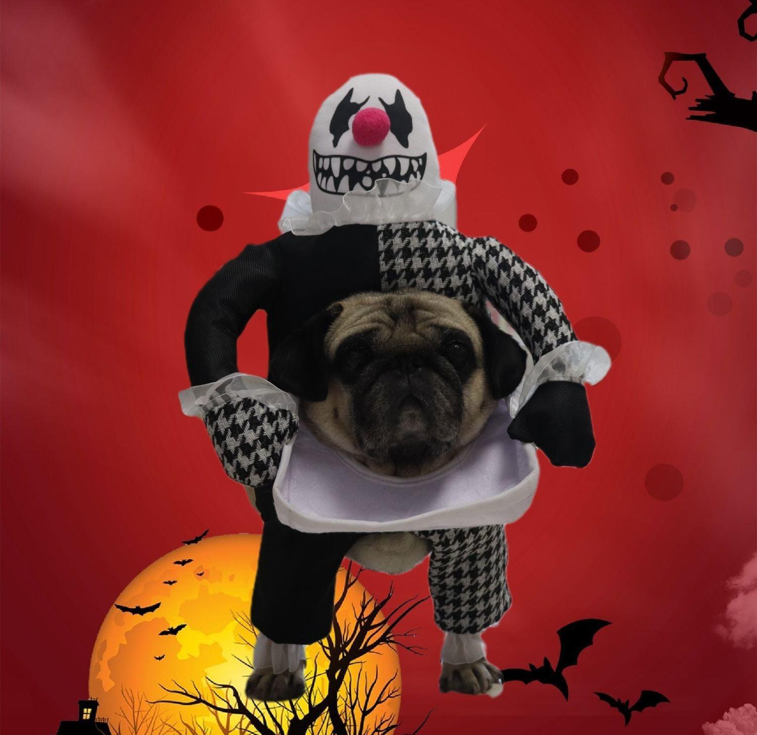 Pet Halloween Costume Photo Props Demon Transformation - Dog Hugs Cat