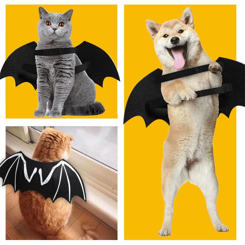 Dog Luminous Bat Wings Transformed Into Costumes - Dog Hugs Cat