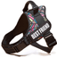 Explosion-Proof Chest Harness Pet Leash - Dog Hugs Cat