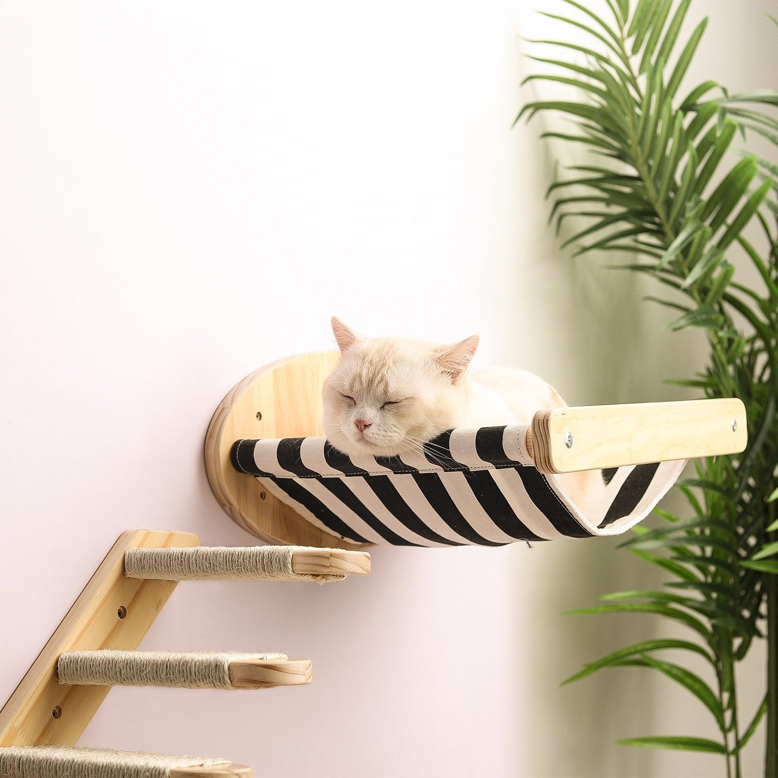 Pine Wood Cat Climbing Frame Cat Wall Hammock Staircase Room Space Capsule Cat Toy - Dog Hugs Cat