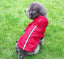 Waterproof Hooded Warm Pet Dog Raincoat - Dog Hugs Cat