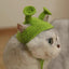 Handmade Knitted Cat Dog Hat Pet Hair Accessories Headgear - Dog Hugs Cat