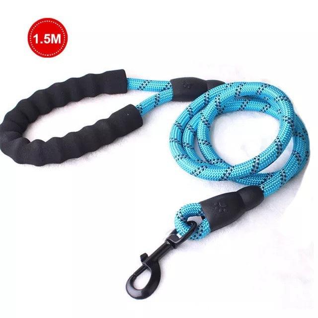 Small Medium Sized Pet Dog Luminous Leash Chain Puppies - Dog Hugs Cat