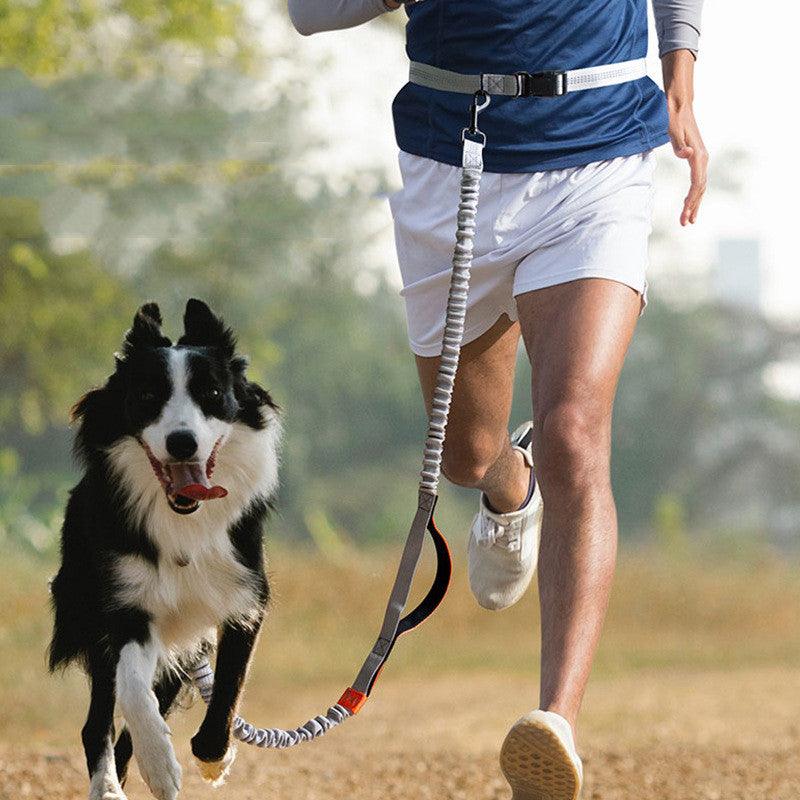 Pet Supplies Outdoor Running Dog Leash - Dog Hugs Cat